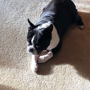 Meet your Posher, Dave